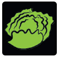 Third Day Produce logo